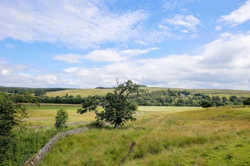 The Pheasant Inn