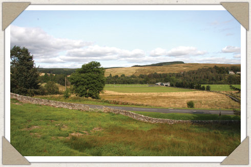 The Pheasant Inn