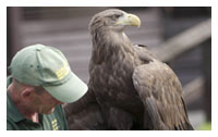 Birds of Prey Centre