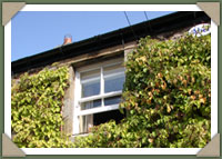 Bed and breakfast offer 2