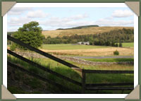 Bed and breakfast offer 2